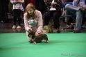 Crufts2011_2 583